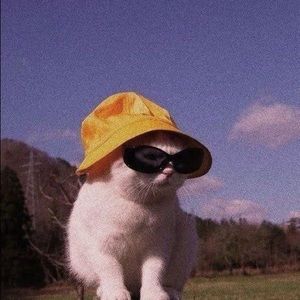 Meet your Posher, Destiny